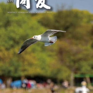 月刊同友2020年6月号